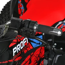 Квадроцикл E-FOX-1450-6, фото 6