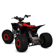 Квадроцикл E-FOX-1450-3 красный, бесщеточный мотор 1450W, свет, Bluetooth фото 21