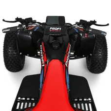 Квадроцикл E-FOX-1450-6, фото 2