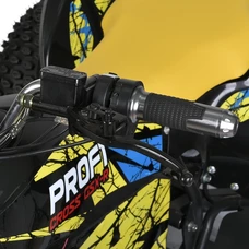 Квадроцикл E-FOX-1450-6 желтый, бесщеточный мотор 1450W, свет, Bluetooth фото 16