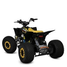 Квадроцикл E-FOX-1450-6 желтый, бесщеточный мотор 1450W, свет, Bluetooth фото 21