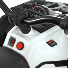 Квадроцикл M 4795EBLR-4, фото 3