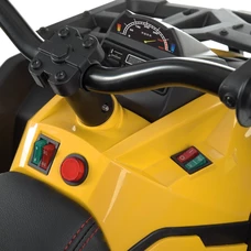 Детский квадроцикл M 4795EBLR-6 желтый c пультом управления и 4 моторами фото 86