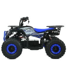 Подростковый квадроцикл HB-FFA1000-4(MP3) синий с мотором 1000 Вт фото 41