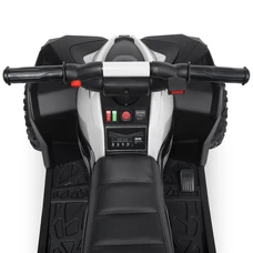 Детский квадроцикл M 4959EBLR-2, фото 1