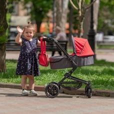 Коляска для куклы 3 в 1 Carrello Magia 9636 Pink розовая, с сумочкой фото 54