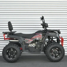Бензиновый квадроцикл AFB200L-2-3 двухместный черно-красный фото 41