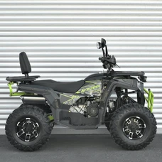 Бензиновый квадроцикл AFB200L-2-5 двухместный черно-зеленый фото 54