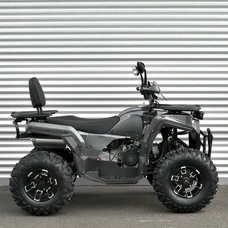 Бензиновый квадроцикл AFB200L-19 двухместный карбон фото 54