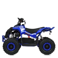 Детский квадроцикл E-XBW-1200-4(MP3) синий бесщеточный мотор 1200W фото 41