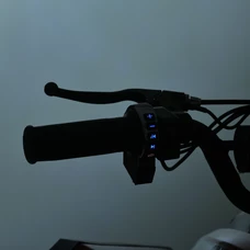 Детский квадроцикл E-XBW-1200S-13(MP3) бежевый камуфляж бесщеточный мотор 1200W фото 92