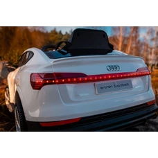 Детский электромобиль Audi M 4806EBLR-1 белый с EVA колесами фото 54