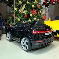 Детский электромобиль Audi M 4806EBLR-2 черный с EVA колесами фото 54