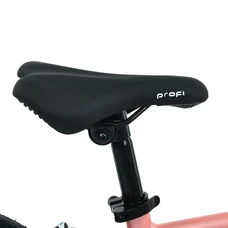 Детский велосипед 16д. MB 16Lighty Peony, фото 4