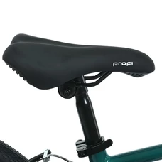 Детский велосипед 20д. Prof1 MB 20Lighty Rain Forest, алюминиевая рама, темно-зеленый фото 41