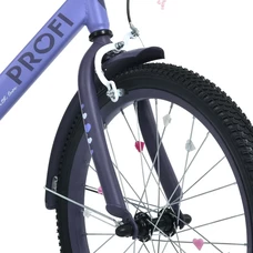 Детский велосипед Prof1 20д. MB 20043-1 Princess, фонарик, багажник, сиреневый фото 37
