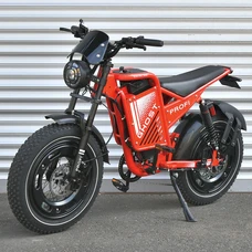 Электрофэтбайк Prof1 Ghost 20д. GS-2002 серый с мотором 1000W фото 14