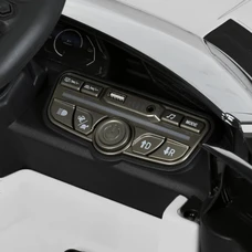Детский электромобиль M 6293EBLR-1 белый Lamborghini с четырьмя моторами фото 92