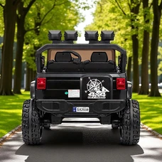 Двухместный детский электромобиль M 6204EBLR-2(24V) черный с полным приводом фото 41