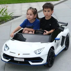 Двухместный детский электромобиль M 6026EBLR-1(24V) белый Lamborghini фото 54