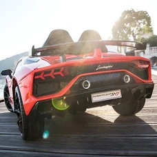 Двухместный детский электромобиль M 6026EBLR-3(24V) красный Lamborghini фото 21