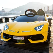 Двухместный детский электромобиль M 6026EBLR-6(24V) желтый Lamborghini