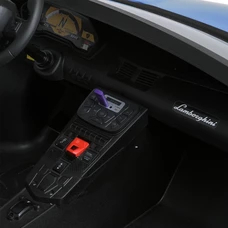 Двухместный детский электромобиль M 5738 AL-4 синий, Lamborghini, мотор 200W фото 92