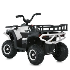 Детский квадроцикл M 6127EBLR-1(24V) белый с пультом и четырьмя моторами по 25W фото 41