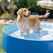 Бассейн для собак Intex 48400, фото 1