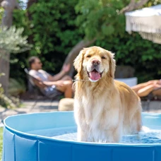 Бассейн для собак Intex 48400, фото 2