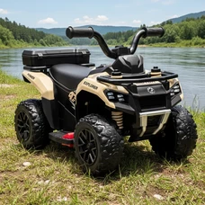 Детский квадроцикл на аккумуляторе M 6286 EBLR-13 бежевый, пульт управления 2,4G фото 21