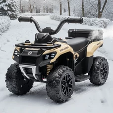 Детский квадроцикл на аккумуляторе M 6286 EBLR-13 бежевый, пульт управления 2,4G фото 37
